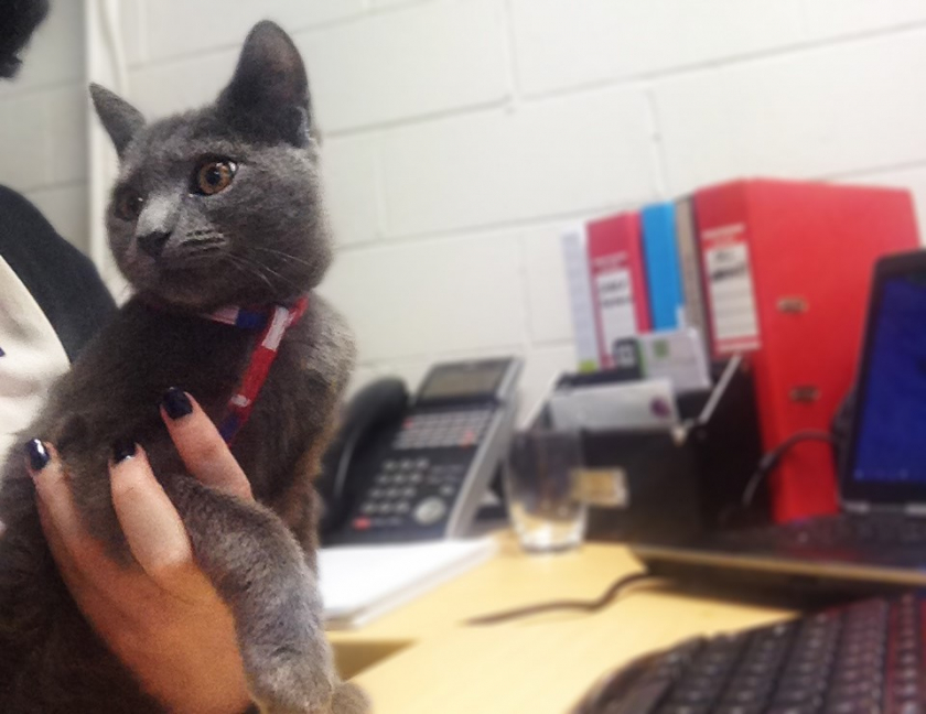 Sharp Photocopiers - Sharp Claws!